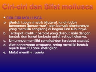 * CIRI-CIRI MOLLUSCA :
a. Bentuk tubuh simetris bilateral, lunak tidak
bersegmen (beruas-ruas), dan banyak diantaranya
yang memiliki cangkang di bagian luar tubuhnya.
b. Terdapat struktur berotot yang disebut kaki dengan
bentuk dan fungsi berbeda untuk setiap kelasnya.
c. Umumnya memiliki cangkok dan terdapat mantel.
d. Alat pencernaan sempurna, sering memiliki bentuk
seperti huruf U atau melingkar.
e. Mulut memiliki radula.
 