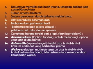 4. Umumnya memiliki dua buah insang, sehingga disebut juga
Lamellibranchiata.
5. Tubuh simetris bilateral
6. System peredaran darah terbuka melalui sinus.
7. Alat reproduksi berumah dua.
8. Makanan berupa hewan kecil
9. Berkembang biak secara seksual :
peleburan sel telur dan sel sperma
10. Cangkang kerang terdiri dari 3 lapis (dari luar-dalam) :
a. Periostrakum (lapisan tanduk), untuk melindungi lapisan
yang ada di dalamnya
b. Prismatik (lapisan tengah) terdiri atas kristal-kristal
kalsium karbonat yang berbentuk prisma
c. Nakreas (lapisan mutiara) tersusun atas kristal-kristal-
kristal kalsium karbonat, bila terkena sinar memancarkan
keragaman warna.
 