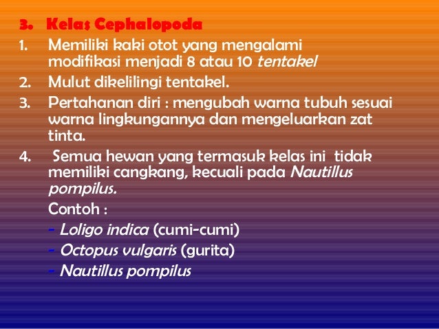 Ppt molusca Ppt molusca