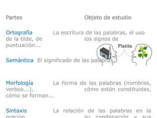 Partes Objeto de estudio
Ortografía La escritura de las palabras, el uso
de la tilde, de los signos de
puntuación...
Semántica El significado de las palabras.
Morfología La forma de las palabras (nombres,
verbos...), cómo están constituidas,
cómo se forman...
Sintaxis La relación de las palabras en la
 