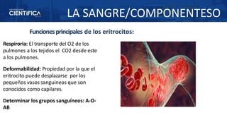 PPT MORFOFISIOLOGIA I SESION 3 LA SANGRE. COMPOSICION CAFRACTERISTICAS ...