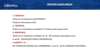PPT MORFOFISIOLOGIA I  SESION 3  LA SANGRE. COMPOSICION CAFRACTERISTICAS Y TIPOS (2).pptx