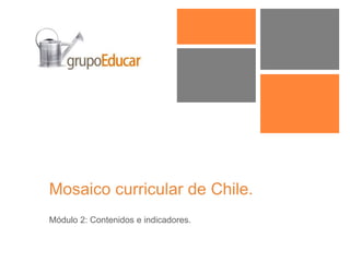 Mosaico curricular de Chile.
Módulo 2: Contenidos e indicadores.
 