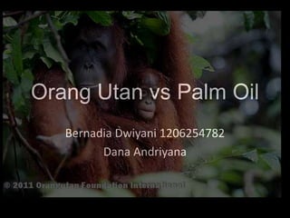 Orang Utan vs Palm Oil
   Bernadia Dwiyani 1206254782
         Dana Andriyana
 