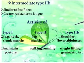 Intermediate type IIb
Similar to fast fibers
Greater resistance to fatigue

Activity of
type I
 e.g. neck,
trunk muscle
maintain
posture
11/3/2013

type II
leg
muscle
walking,running

Jipmer Physiologist

Type IIb
Shoulder
flexer,abbducter
wieght lifting
gymnastic Act
18

 