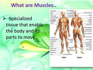 What are Muscles..
 Specialized
tissue that enable
the body and its
parts to move.

 