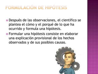  Después de las observaciones, el científico se
plantea el cómo y el porqué de lo que ha
ocurrido y formula una hipótesis.
 Formular una hipótesis consiste en elaborar
una explicación provisional de los hechos
observados y de sus posibles causas.
 