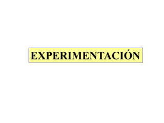EXPERIMENTACIÓN
 