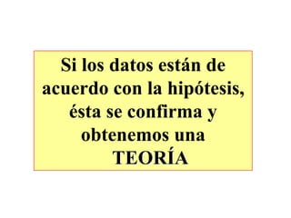 Si los datos están de
acuerdo con la hipótesis,
ésta se confirma y
obtenemos una
TEORÍA
 