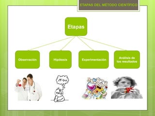 Hipótesis Experimentación
Análisis de
los resultados
Etapas
Observación
ETAPAS DEL MÉTODO CIENTÍFICO
 