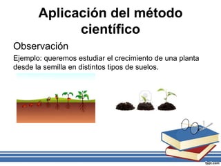 Aplicación del método
científico
Observación
Ejemplo: queremos estudiar el crecimiento de una planta
desde la semilla en distintos tipos de suelos.
 