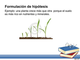 Formulación de hipótesis
Ejemplo: una planta crece más que otra porque el suelo
es más rico en nutrientes y minerales.
 