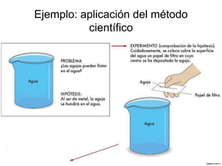 Ejemplo: aplicación del método
científico
 