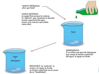 Método científico. 