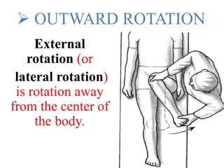 fundamental movement of joint - Kinesiology | PPTX