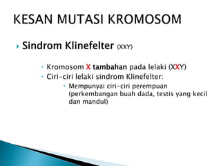    Sindrom Klinefelter     (XXY)


        Kromosom X tambahan pada lelaki (XXY)
        Ciri-ciri lelaki sindrom Klinefelter:
             Mempunyai ciri-ciri perempuan
              (perkembangan buah dada, testis yang kecil
              dan mandul)
 