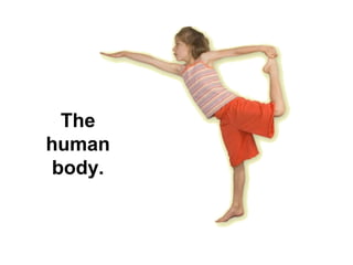 The
human
body.

 