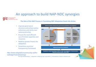 An	approach	to	build	NAP-NDC	synergies
The	Role	of	the	NAP	Process	in	Translating	NDC	Adaptation	Goals	into	Action
• Improve	governance	
structure	and	achieve	policy	
coherence	and	clarity	over	
national	priorities
• Ensure	the	most	efficient	
use	of	limited	capacities	and	
resources
• Mobilize	greater	finance	for	
adaptation
• Streamline	countries’	
transparency	framework
http://www.adaptationcommunity.net/kn
owledge/mainstreaming/
 