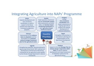 Integrating Agriculture	into NAPs’	Programme
 