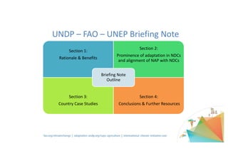 Section	1:	
Rationale	&	Benefits
Section	2:
Prominence	of	adaptation	in	NDCs	
and	alignment	of	NAP	with	NDCs
Section	3:
Country	Case	Studies
Section	4:
Conclusions	&	Further	Resources
Briefing	Note	
Outline	
UNDP	– FAO	– UNEP	Briefing	Note
 