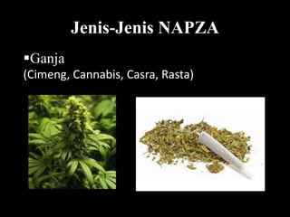 Jenis-Jenis NAPZA
Ganja
(Cimeng, Cannabis, Casra, Rasta)