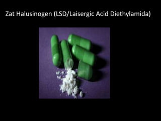 Zat Halusinogen (LSD/Laisergic Acid Diethylamida)
 