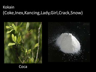 Kokain
(Coke,Inex,Kancing,Lady,Girl,Crack,Snow)
Coca
 