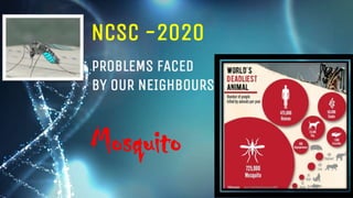 NCSC -2020
PROBLEMS FACED
BY OUR NEIGHBOURS
Mosquito
 