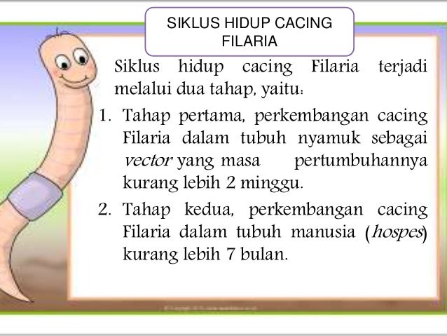 Ppt nematoda.