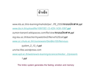อ้างอิง
The limbic system generates the feeling; emotion and memory
www.kts.ac.th/e-learning/mahidol/pe/...PE_2550/ระบบประสาท.ppt
www.tta.in.th/uploadfile/1097/SC-13-429-1438-1097.ppt
sumon-kananit.wikispaces.com/file/view/ระบบประสาท.ppt
reg.ksu.ac.th/teacher/myweb/bio2/Nerve%20cell.ppt
www.sc.chula.ac.th/courseware/GenBio105/Nervous-
system_2_12_4.ppt
unchai.files.wordpress.com
www.wjd.ac.th/webnew/e-learning/science/media/...2/present-
1.ppt
 
