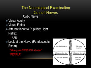 Optic Nerve
 Visual Acuity
 Visual Fields
 Afferent input to Pupillary Light
Reflex
• APD
 Look at the Nerve (Fundoscopic
Exam)
“VA equals 20/20 OU at near”
“PERRLA”
 
