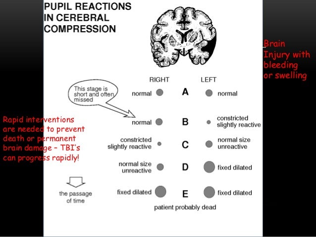 neurological examination ppt