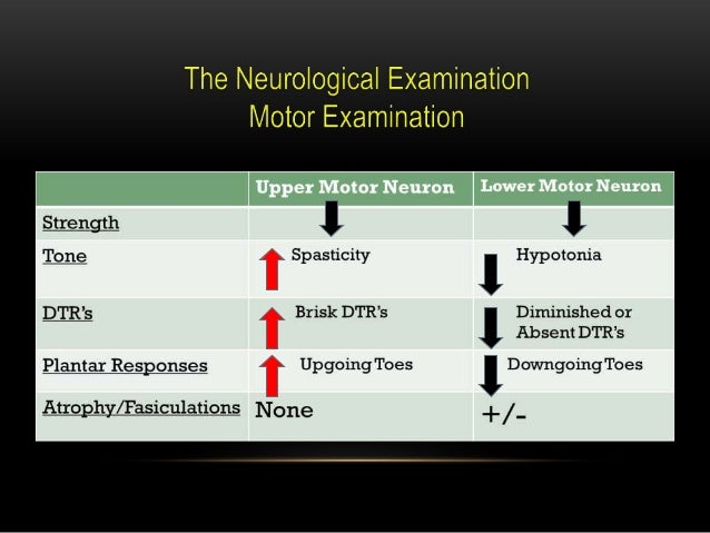 neurological examination ppt parkinson s disease ppt