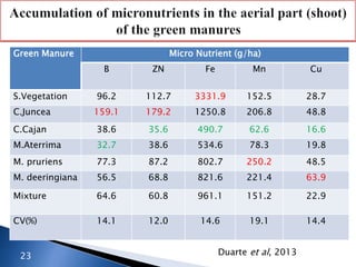Duarte et al, 201323
Green Manure Micro Nutrient (g/ha)
B ZN Fe Mn Cu
S.Vegetation 96.2 112.7 3331.9 152.5 28.7
C.Juncea 159.1 179.2 1250.8 206.8 48.8
C.Cajan 38.6 35.6 490.7 62.6 16.6
M.Aterrima 32.7 38.6 534.6 78.3 19.8
M. pruriens 77.3 87.2 802.7 250.2 48.5
M. deeringiana 56.5 68.8 821.6 221.4 63.9
Mixture 64.6 60.8 961.1 151.2 22.9
CV(%) 14.1 12.0 14.6 19.1 14.4
 