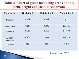 Treatment Girth (cm) Height (cm) Yield (t ha-1)
Control 1.75b 2.78b 59.11c
Local dhaincha 183a 2.90a 78.45b
sunhamp 1.95a 3.10a 91.87a
African
dhaincha
1.90a 3.0a 86.32a
LSD(0.05) NS NS 5.93
Kabiraj et al., 2017
24
 