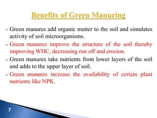  Green manures add organic matter to the soil and simulates
activity of soil microorganisms.
 Green manures improve the structure of the soil thereby
improving WHC, decreasing run off and erosion.
 Green manures take nutrients from lower layers of the soil
and adds to the upper layer of soil.
 Green manures increase the availability of certain plant
nutrients like NPK.
 
