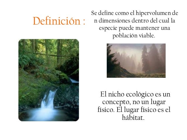 Ppt nicho eco..