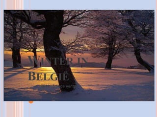 Winter in België 2010 strenge winter 