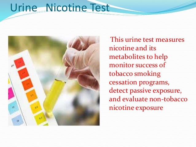 Excellent Information For Nicotine Test Excellent Information For Nicotine Test