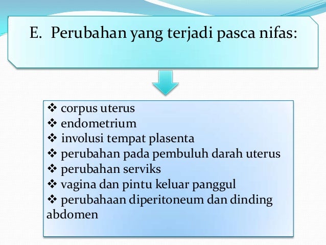 Ppt nifas 10132027