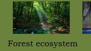 TYPES OF ECOSYSTEM POWERPOINT PRESENTATION | PPTX