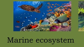 TYPES OF ECOSYSTEM POWERPOINT PRESENTATION | PPTX