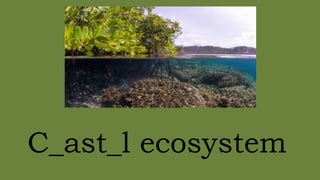 TYPES OF ECOSYSTEM POWERPOINT PRESENTATION | PPTX