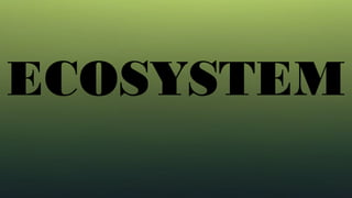 TYPES OF ECOSYSTEM POWERPOINT PRESENTATION | PPTX