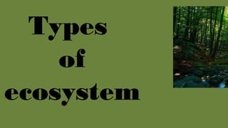 TYPES OF ECOSYSTEM POWERPOINT PRESENTATION | PPTX