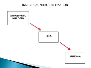 INDUSTRIAL NITROGEN FIXATION
ATMOSPHERIC
NITROGEN
AMMONIA
UREA
 