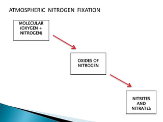 ATMOSPHERIC NITROGEN FIXATION
MOLECULAR
(OXYGEN +
NITROGEN)
OXIDES OF
NITROGEN
NITRITES
AND
NITRATES
 