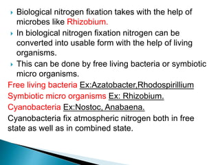  Biological nitrogen fixation takes with the help of
microbes like Rhizobium.
 In biological nitrogen fixation nitrogen can be
converted into usable form with the help of living
organisms.
 This can be done by free living bacteria or symbiotic
micro organisms.
Free living bacteria Ex:Azatobacter,Rhodospirillium
Symbiotic micro organisms Ex: Rhizobium.
Cyanobacteria Ex:Nostoc, Anabaena.
Cyanobacteria fix atmospheric nitrogen both in free
state as well as in combined state.
 