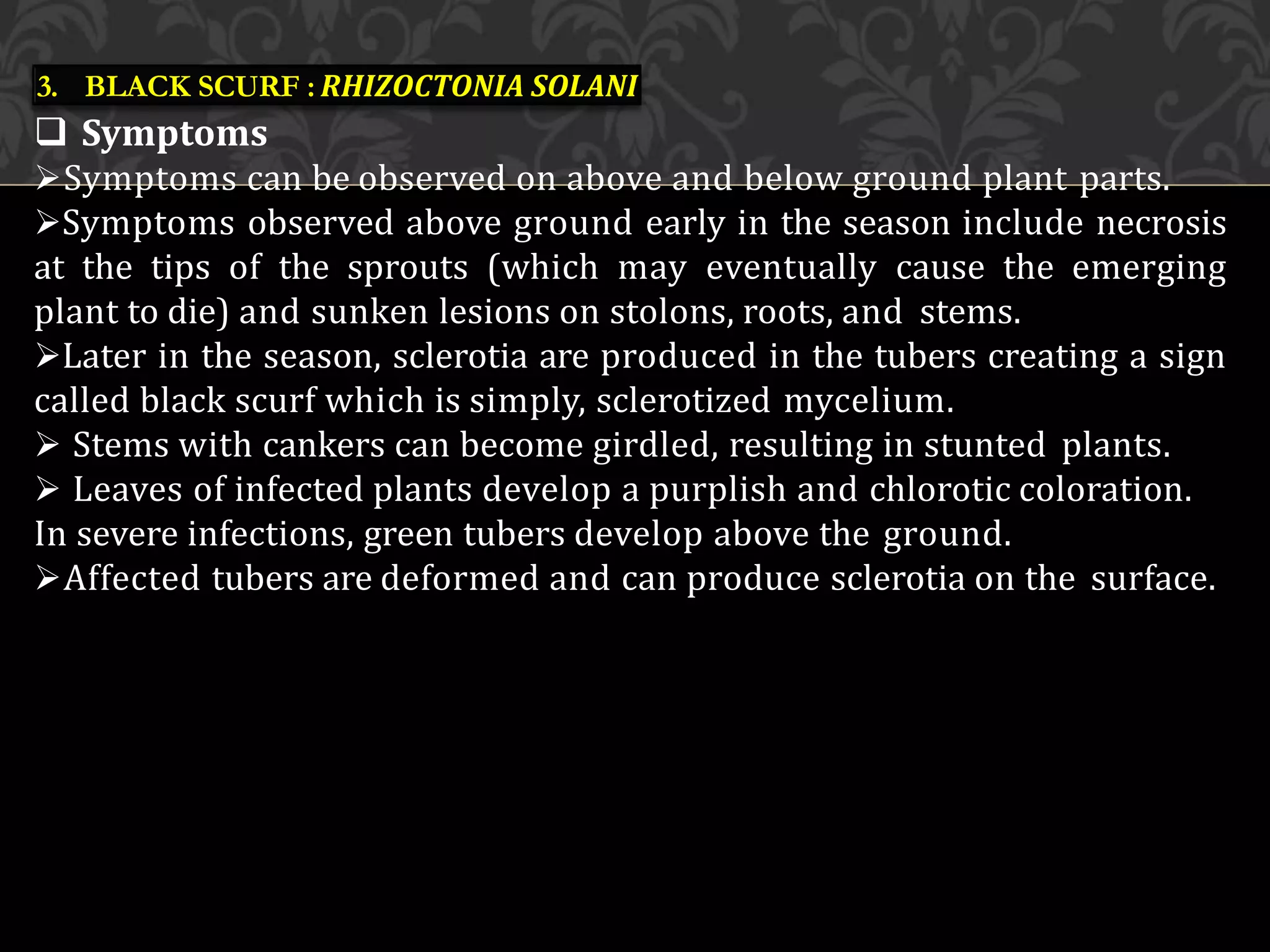 pptno-14potato-210427070740.pdf