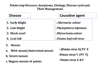 Potatocrop Diseases, Symptoms, Etiology, Disease cycleand
Their Management.
: Alternaria solani
: Phytopthora infestans
: Rhizoctonia solani
: Potato leaf roll virus
1. Early blight
2. Late blight
3. Black scurf
4. Leaf roll
5. Mosaic
a. Mild mosaic/Interveinal mosaic
b. Severe mosaic
c. Rugose mosaic of potato
: (Potato virus X) PV X
:Potato virus Y (PV Y)
: Potato virus X &Y
Disease Causative agent
 